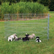 Trixie Natura Welpyren galvanisierte Metall -8 -Paneele