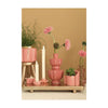 Ideen 4 Jahreszeiten Vase Bellagio Terra Pink ø11xh20cm