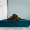 BIA -Bett Royal Velvet Hacken für Hundekorb Benzin
