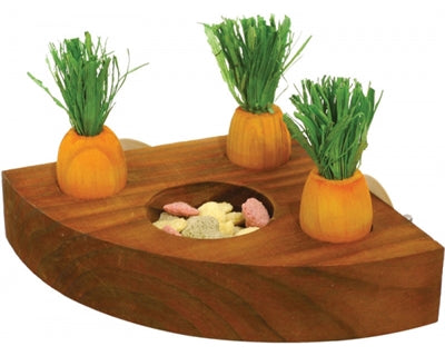 Rosenholz -Karottenspielzeug und Snackhalter