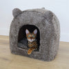 40 Winks Cat Basket Iglo Teddy Bruin