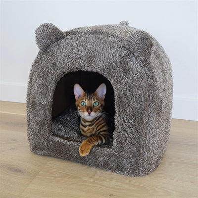 40 Winks Cat Basket Iglo Teddy Bruin