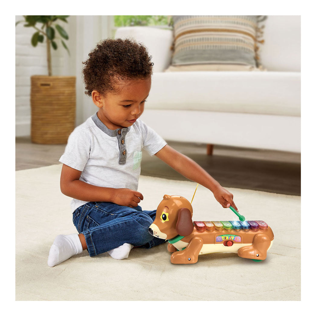 Vtech Timmie Deckel Xylophon mit Licht und Klang