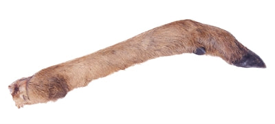 Petsnack Reeen Poot mit ihr