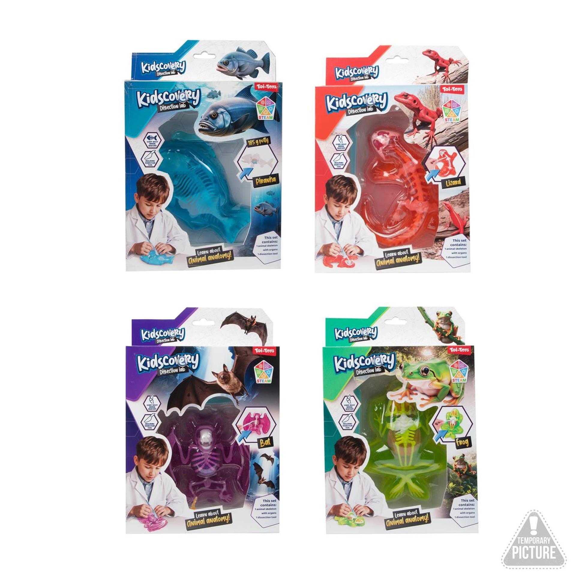 Toi-toys Schleim-Ausgrabungsset Tier mit Werkzeug