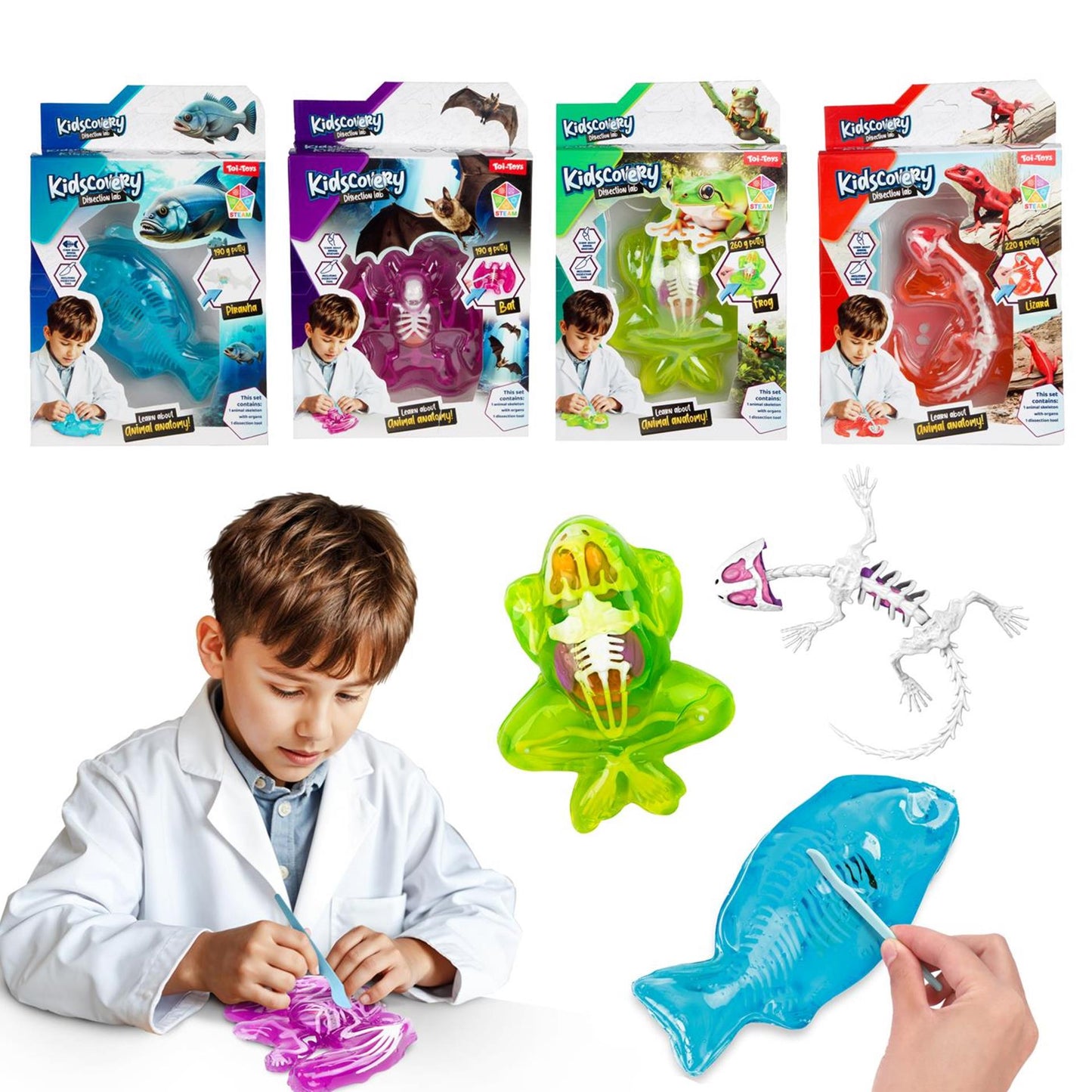 Toi-toys Schleim-Ausgrabungsset Tier mit Werkzeug