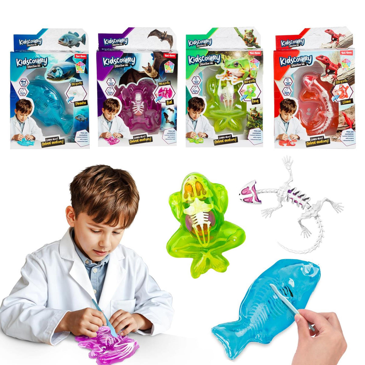 Toi-toys Schleim-Ausgrabungsset Tier mit Werkzeug
