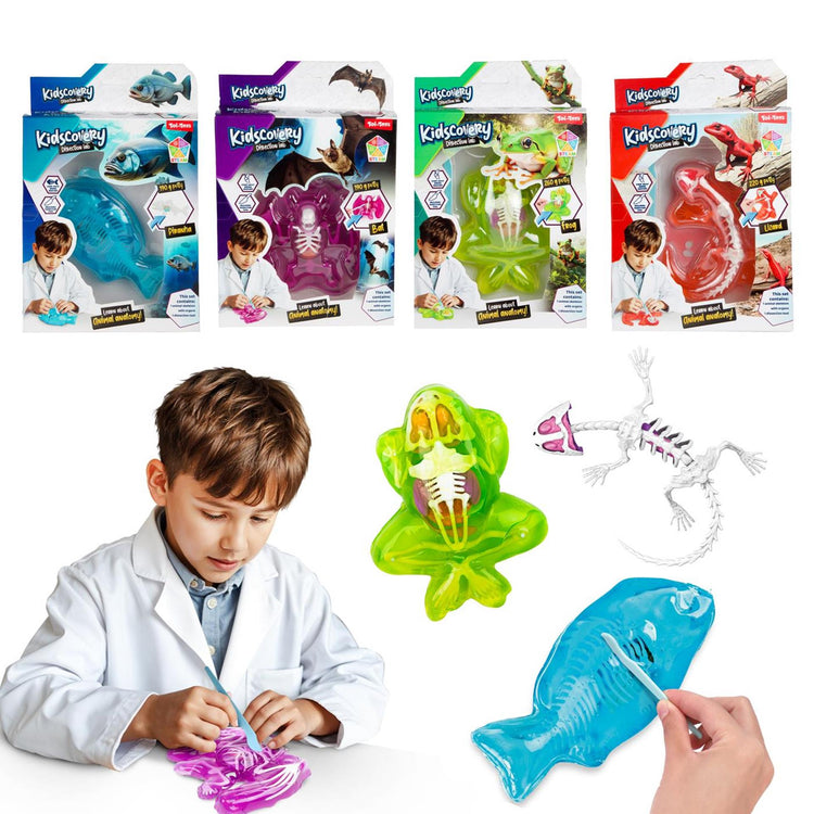 Toi-toys Schleim-Ausgrabungsset Tier mit Werkzeug