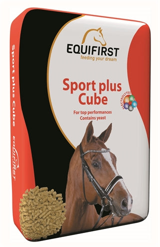 Äquifirst Sport plus Würfel