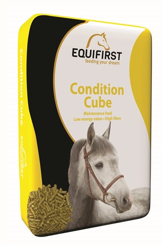 Equifirst -Bedingungswürfel