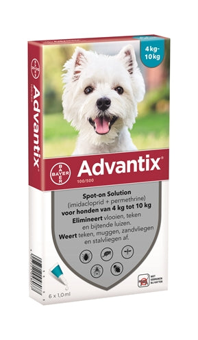 Bayer Advantix Spot auf