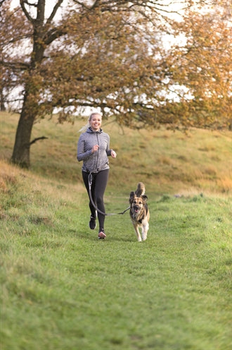 Trixie Jogging -Linie grau