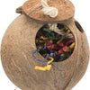 Trixie Coconut nach Sisaltouw