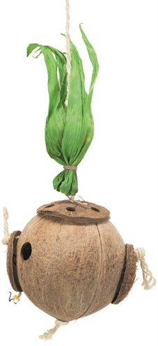 Trixie Coconut nach Sisaltouw