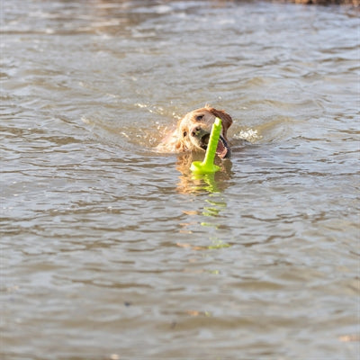 Trixie Dog Aktivität Mot-Aqua Forteer Dobber Limegroen