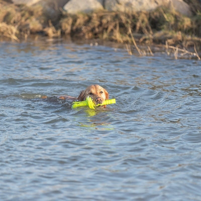 Trixie Dog Aktivität Mot-Aqua Forteer Dobber Limegroen