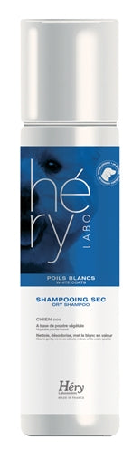 Hery Dry Shampoo für weißes Haar
