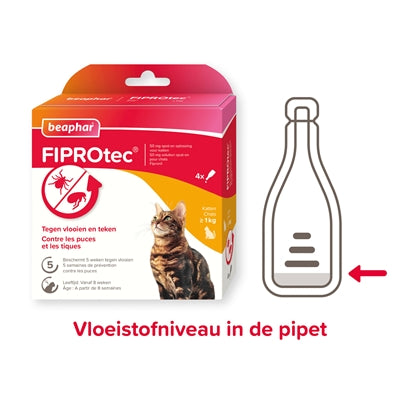 Beaphar Fiptetec Cat gegen Flohschlägen