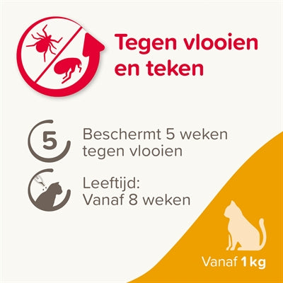 Beaphar Fiptetec Cat gegen Flohschlägen