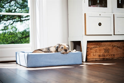 BIA -Bett -Baumwollhacken für Hundekorb Blau