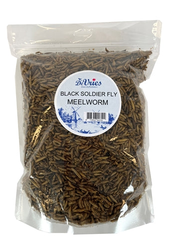 De vries meelworm Black Soldier Fliege