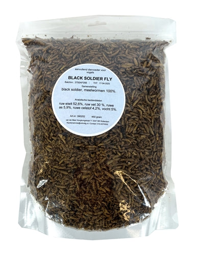De vries meelworm Black Soldier Fliege