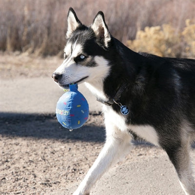 Kong Anlässe Geburtstagsballon Blau