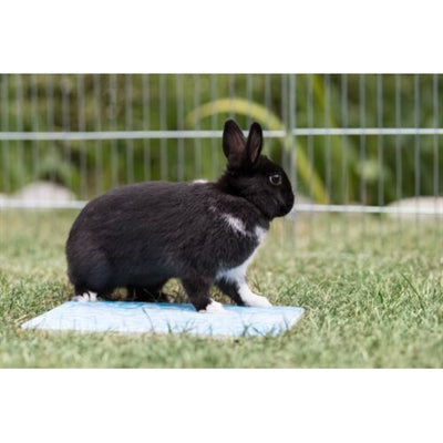 Trixie -Kühlplatte für kleine Tiere blau