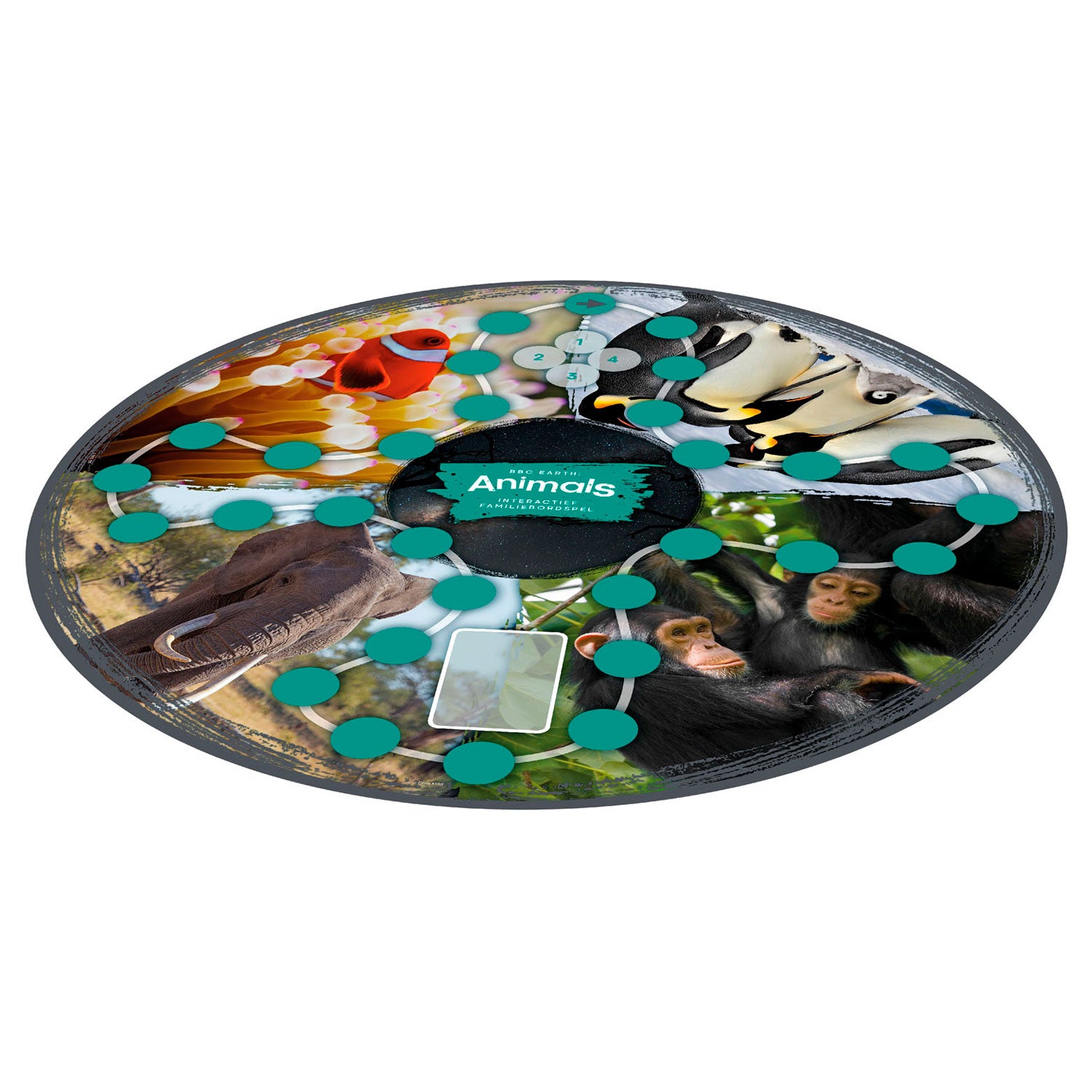 Identitätsspiele BBC Earth Animals Interactive Family Brettspiel
