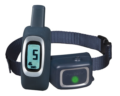 PetSafe Spray Trainer mit Fernbedienung