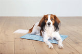 Trixie coole matte hellblau - afbeelding 2