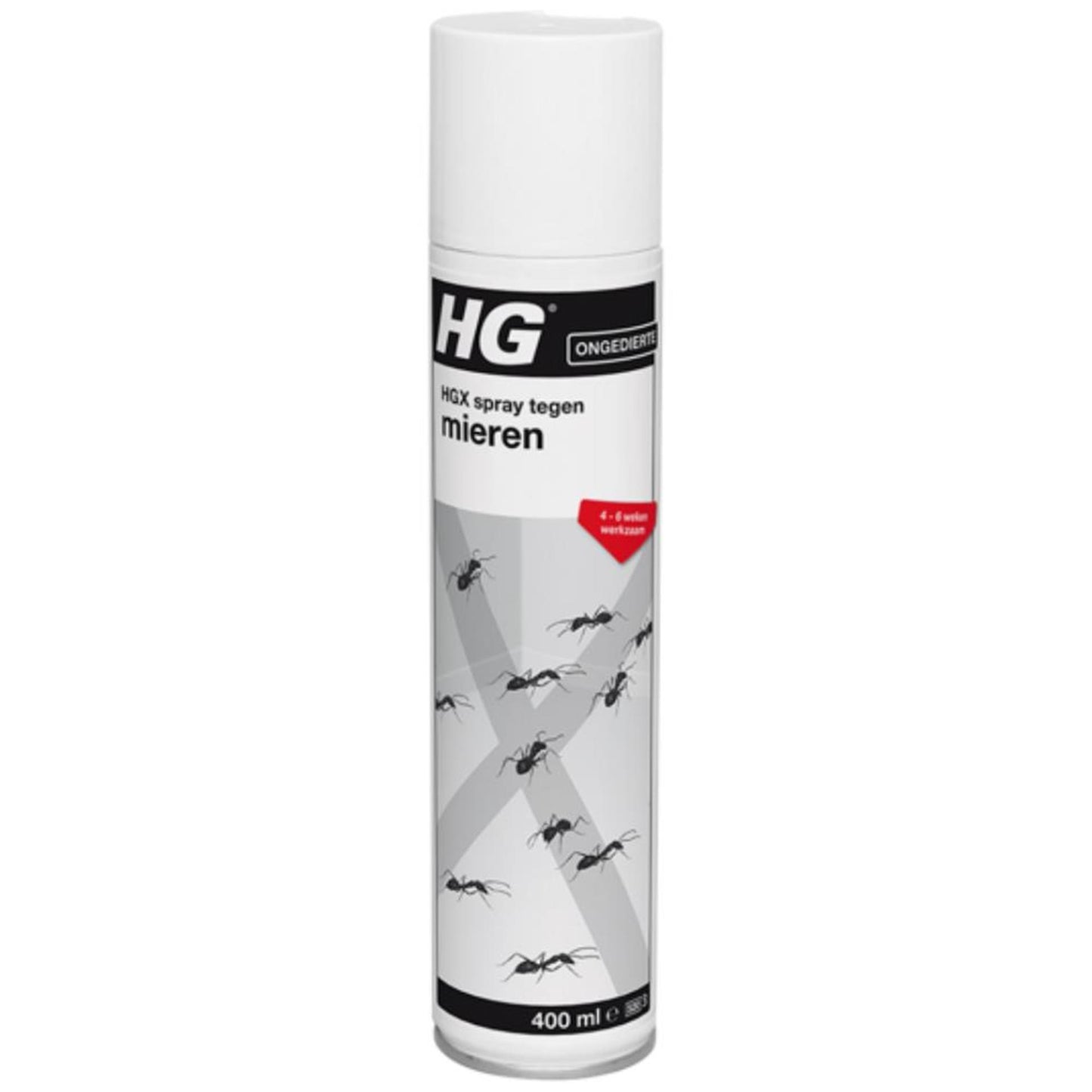 Hg Hgx Spray gegen Ameisen