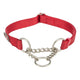 Trixie Kragenhund Premium Halb -Flip -Kragen Rot