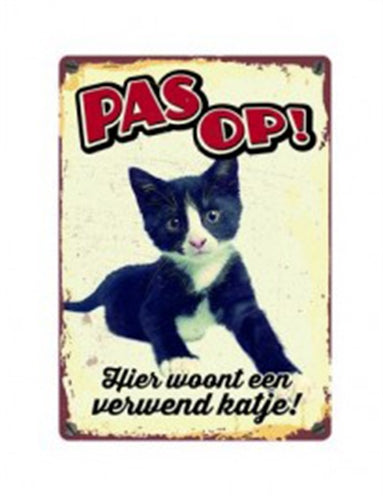 Viel Geschenke Waakkord Blik verwöhnt Kätzchen