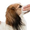 Trixie Eye Care Cleaning Wege im Auge