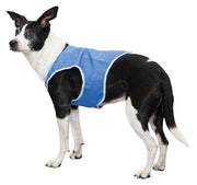 Trixie -Kühlweste PVA Blau - afbeelding 2