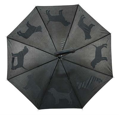 Dachhunde reflektieren schwarz