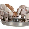 Trixie Junior Puppy Feeding Eimer Edelstahl