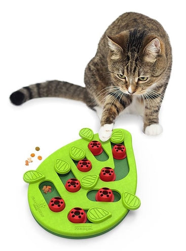 Nina Ottosson Puzzle spielen Buggin Out Green