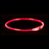 Trixie -Kragen USB -Blitzlicht leuchtend wiederaufladbar TPU Red