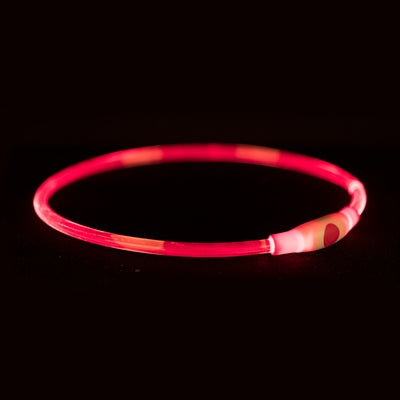 Trixie -Kragen USB -Blitzlicht leuchtend wiederaufladbar TPU Red