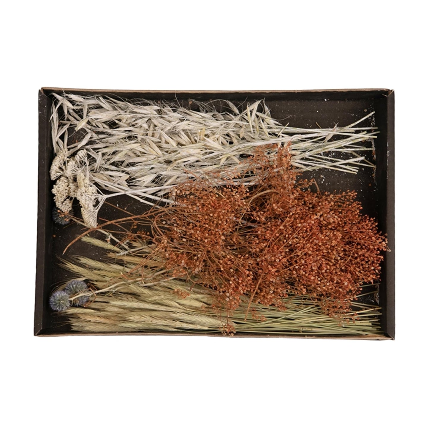 Natural Collections Trockenblumen-Mischtablett 38x26x5cm