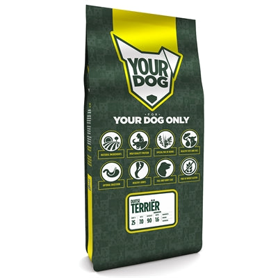 Ihr DOG Deutscher Terror Senior