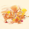 Faber Castell Faber Castell FC-110012 Farbig Bleistift Polychromos 3,8 mm Kerndicke von 12 Teilen