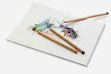 Faber Castell Faber Castell FC-11112 Pastell Bleistift Faber-Castell Pitt Metal Penny A 12 Stück - afbeelding 3