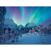 Ravensburger Jigsaw Puzzle Verenn Die Nordlicher Tanszen, 1500st.