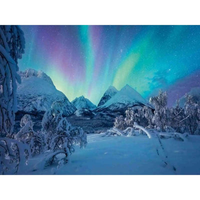 Ravensburger Jigsaw Puzzle Verenn Die Nordlicher Tanszen, 1500st.