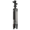 Hama Statief Ramble Duo Carbon 160 Ball mit Smartphone -Halter