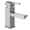Schütte Schütte Washbeer Mixer Frog Chrome -gelenkt