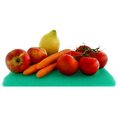 ScanPart ScanPart Anti-Fungalmatte 46x29.5 cm